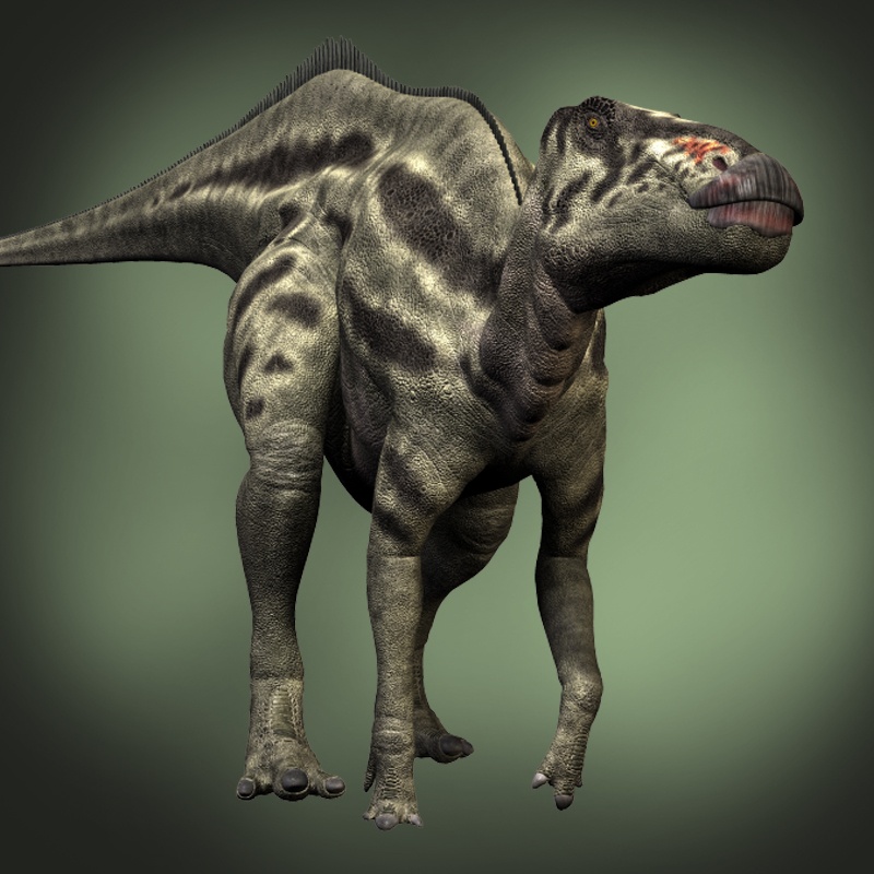 ShantungosaurusDR
