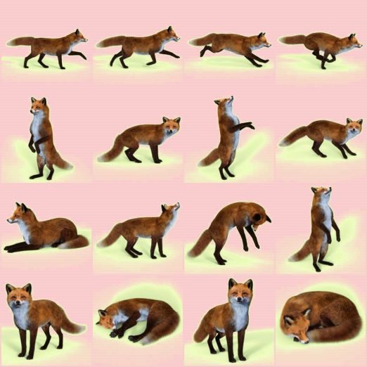 https://new.imagehostx.com/upload/2024/03/25/Sixteen-Fox-Poses_1711369047.jpg