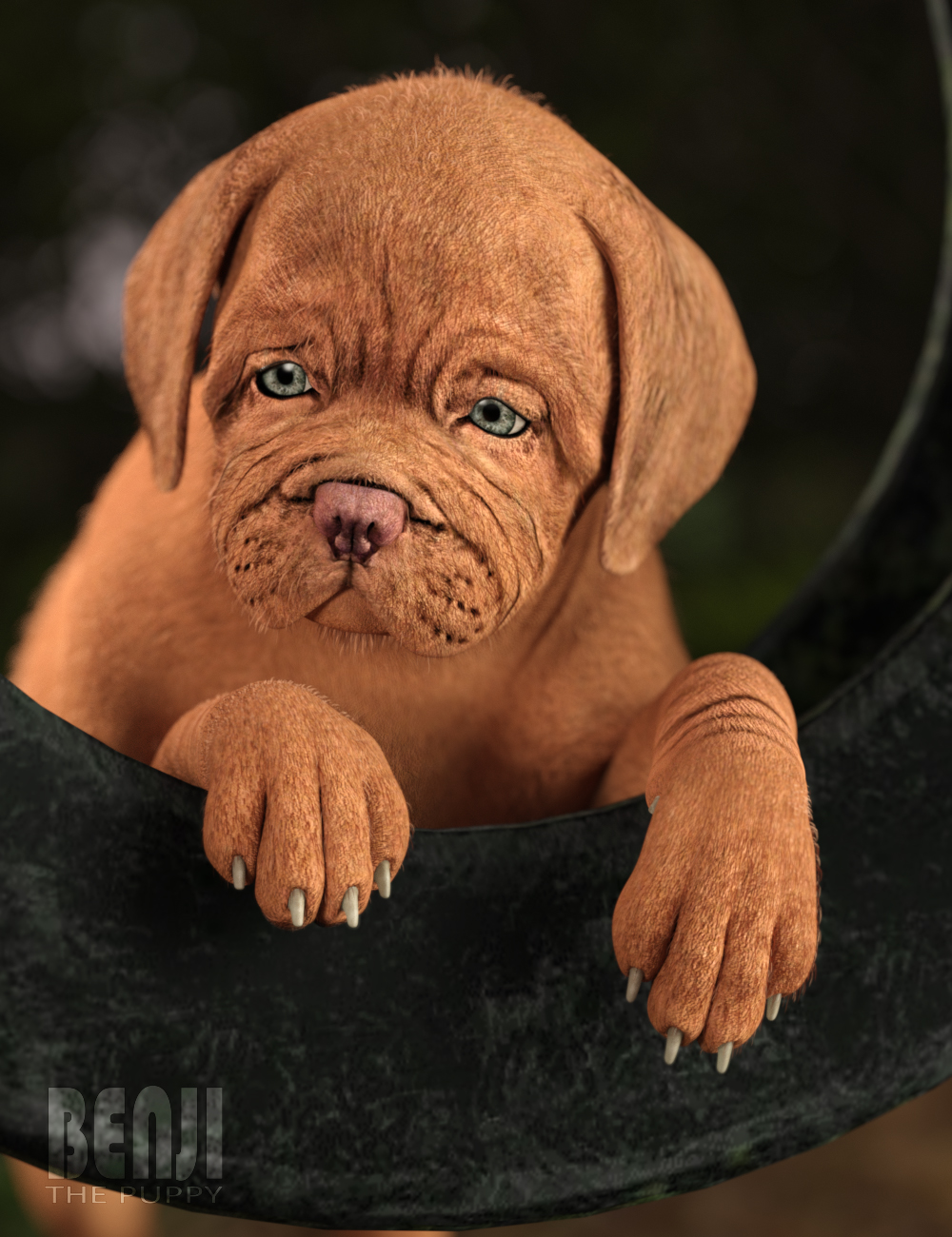 Benji The Puppy HD for Daz Dog 8 [REPOST]
