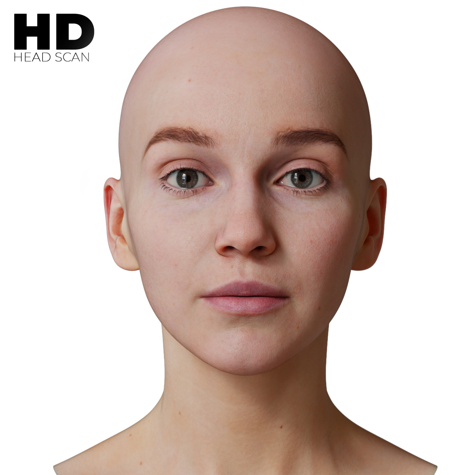 56 3D Head Model