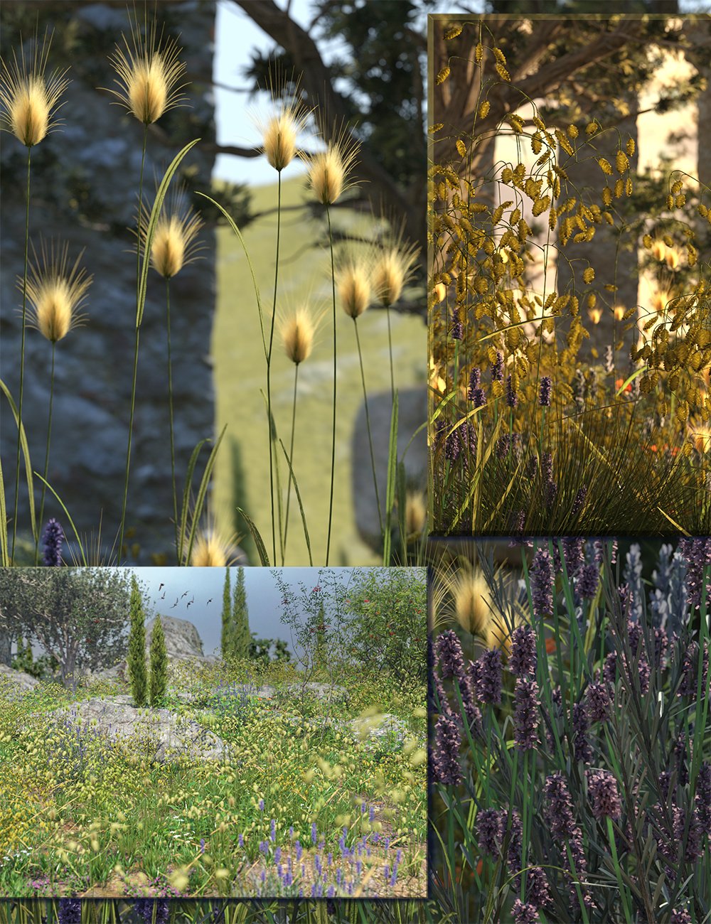 mediterraneangrasses00maindaz3d 1719918750