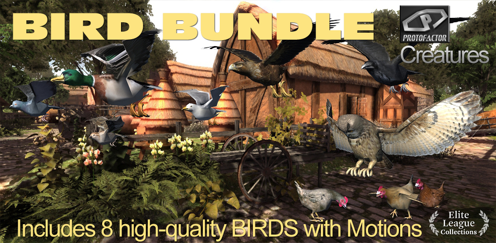 Bird Collection Bundle 1720456182