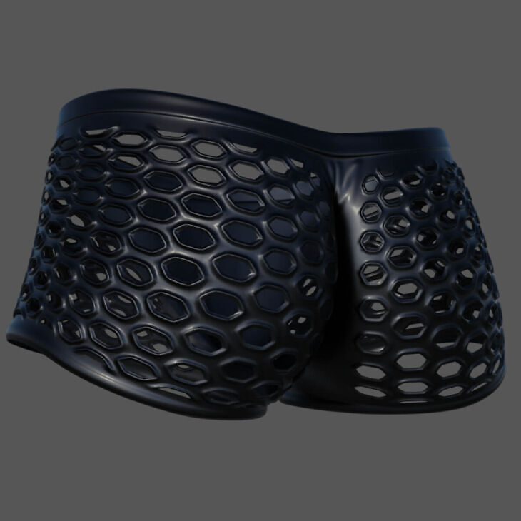 Hexa Shorts for Genesis 8 Females 1724107213