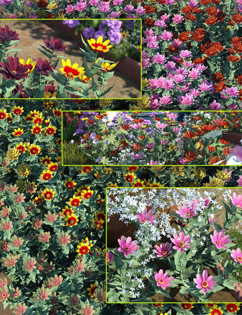 cottagegardenflowerszinnia00maindaz3d 1726704788