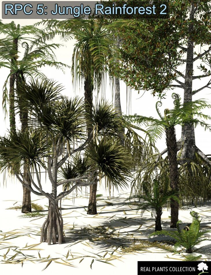 RPC Volume 5 Jungle Rainforest 2 for Daz Studio and Vue 1728738347