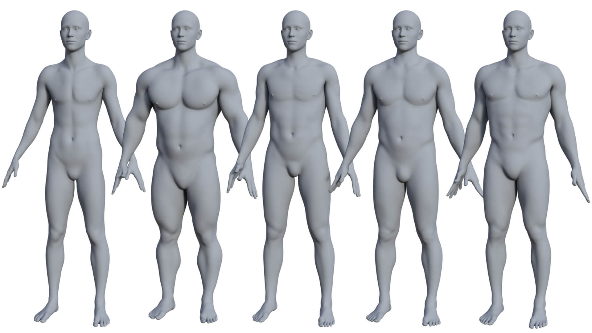 male body shapes resource for g9 01 1728972836