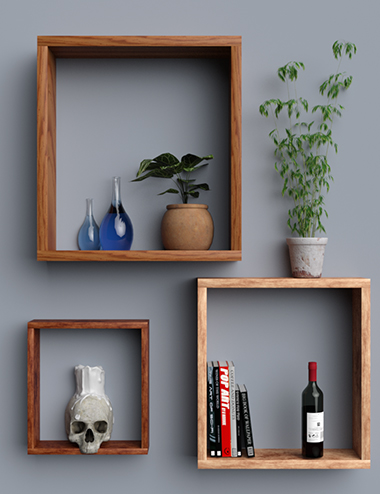 contemporary shelves 00 main daz3d 1730039602