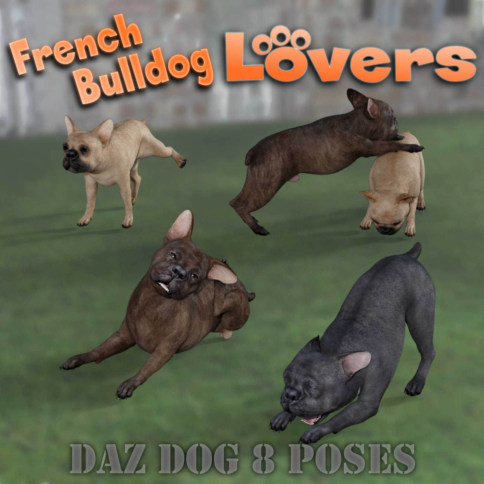 french bulldog lovers poses french bulldog breed daz dog 8 01 1730558806