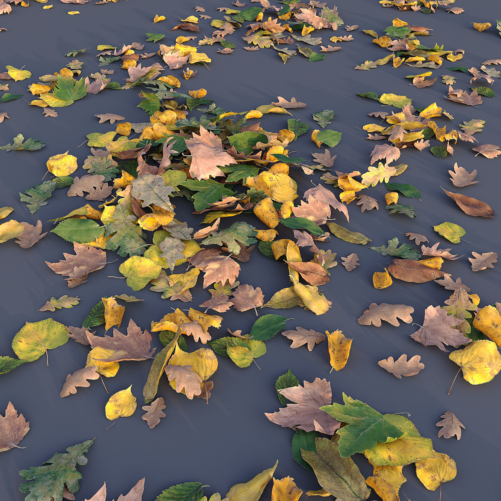 autumn leaves 3d model a8a79953cf 1732279134