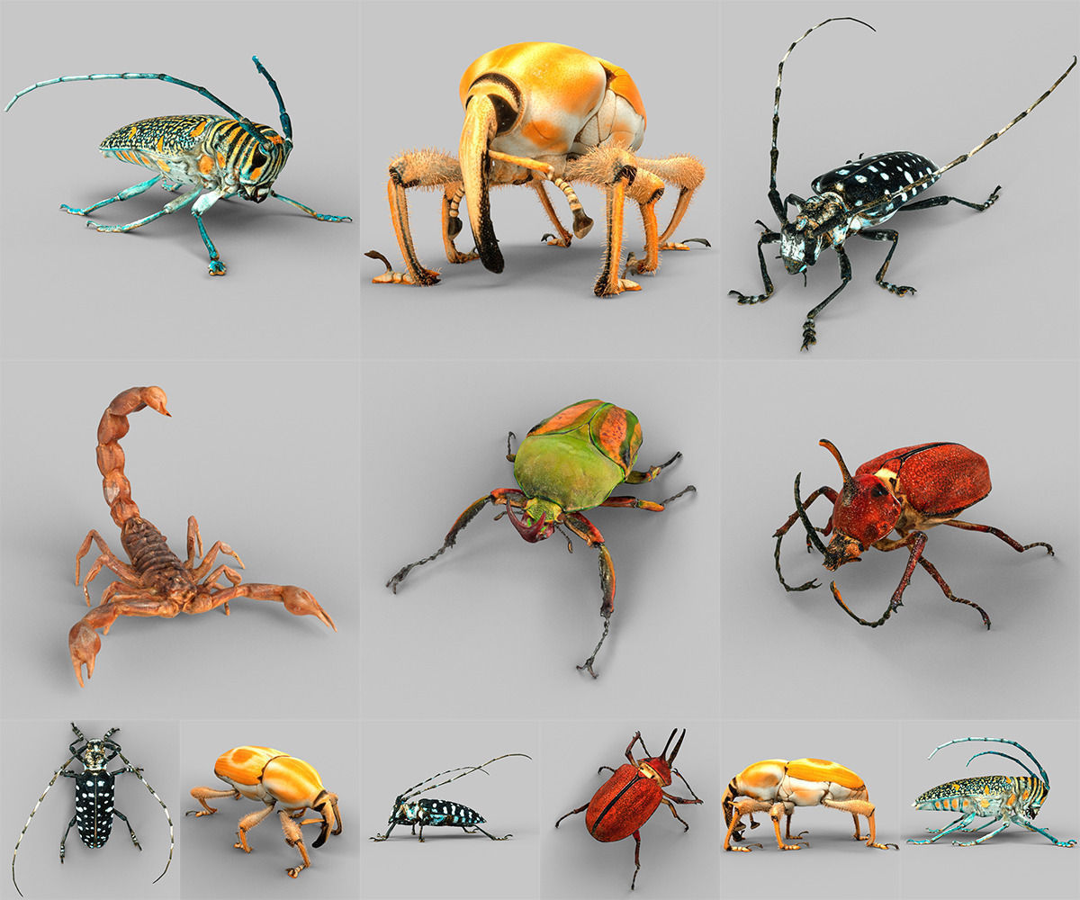 insect collection vol 2 3d model low poly obj stl 1732534584