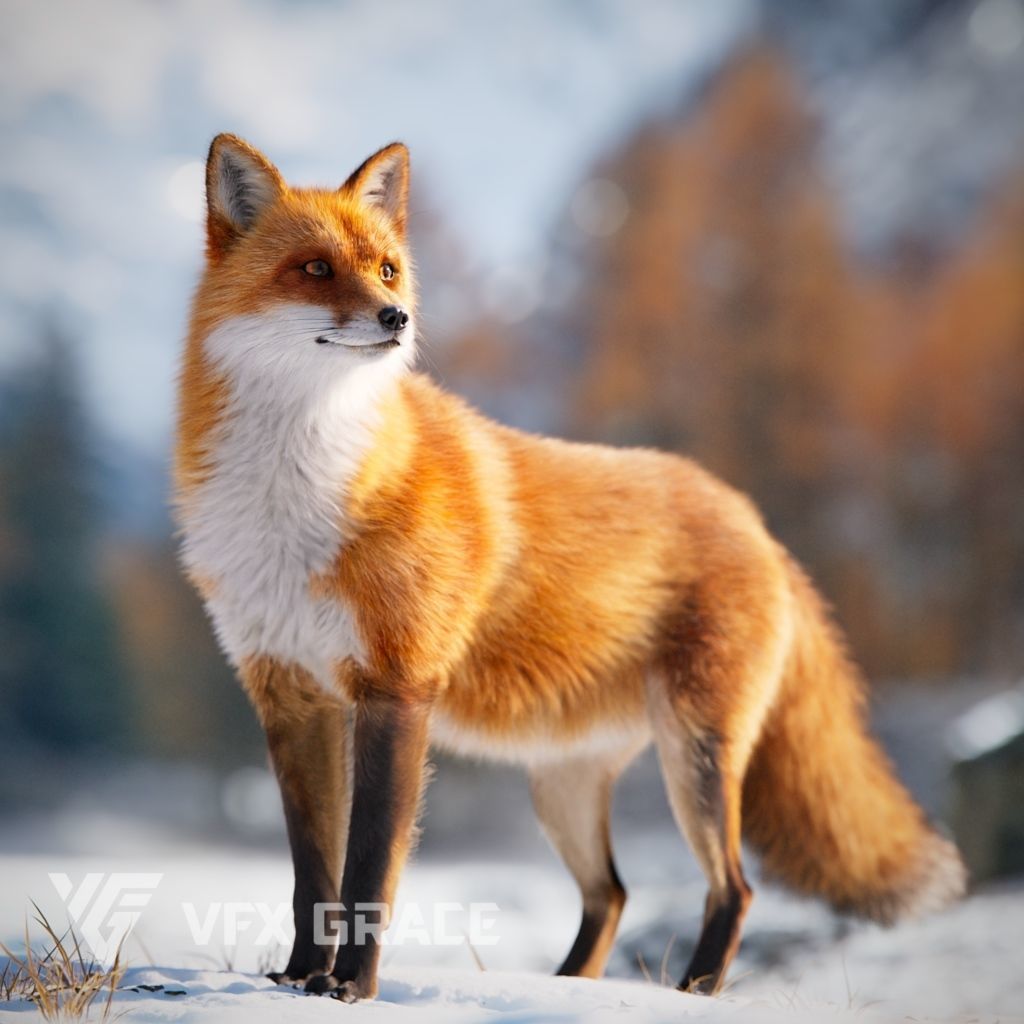 red fox animation vfx grace 3d model 31a7bcf570 1733767184
