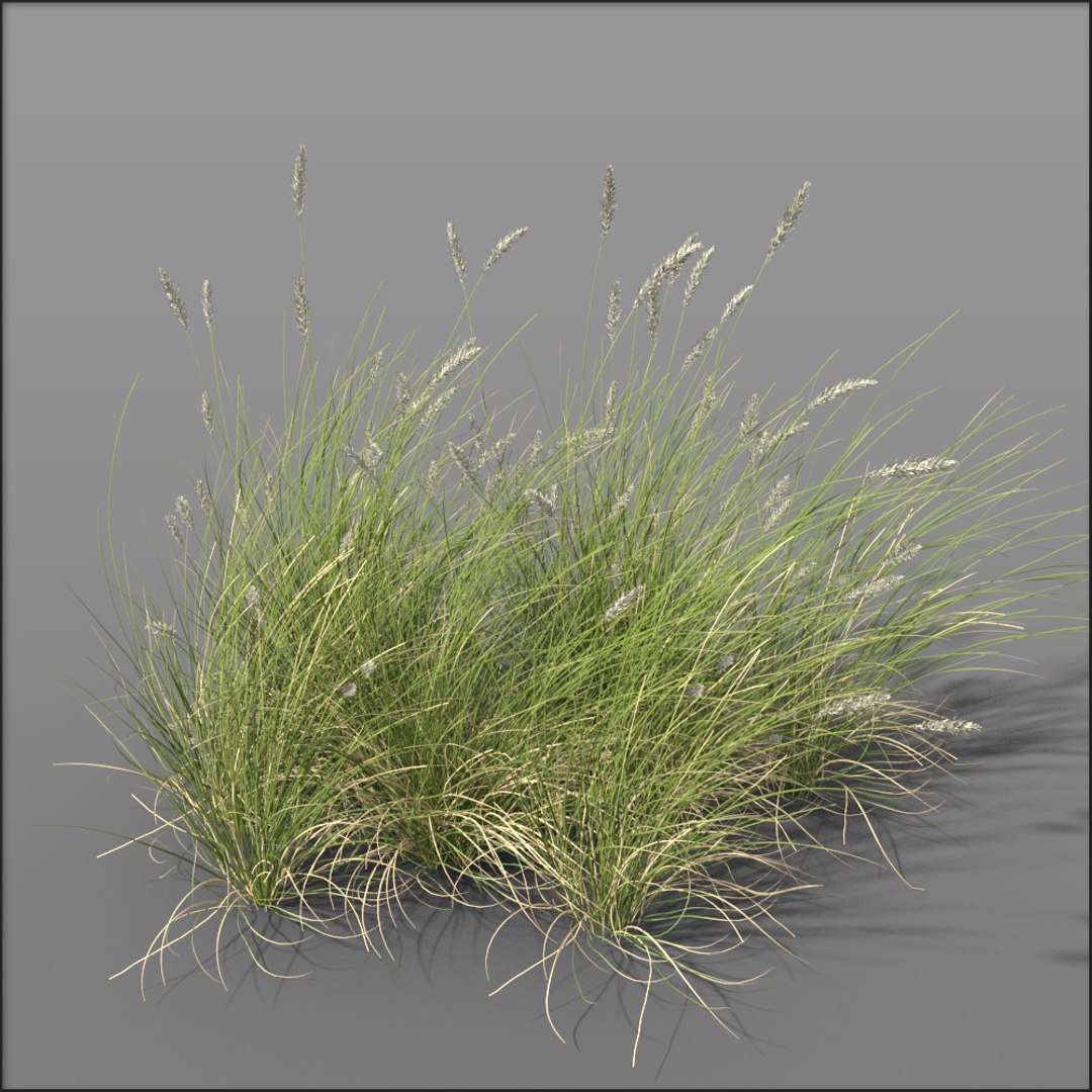 dune grass2 bundle 1734089760