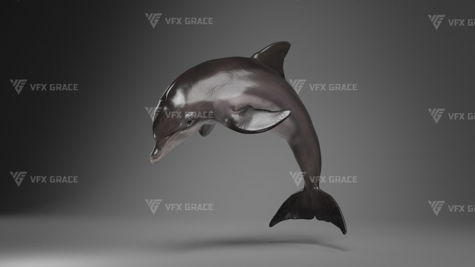 JF0O0A0F BottlenoseDolphins Adult01 Effect map01