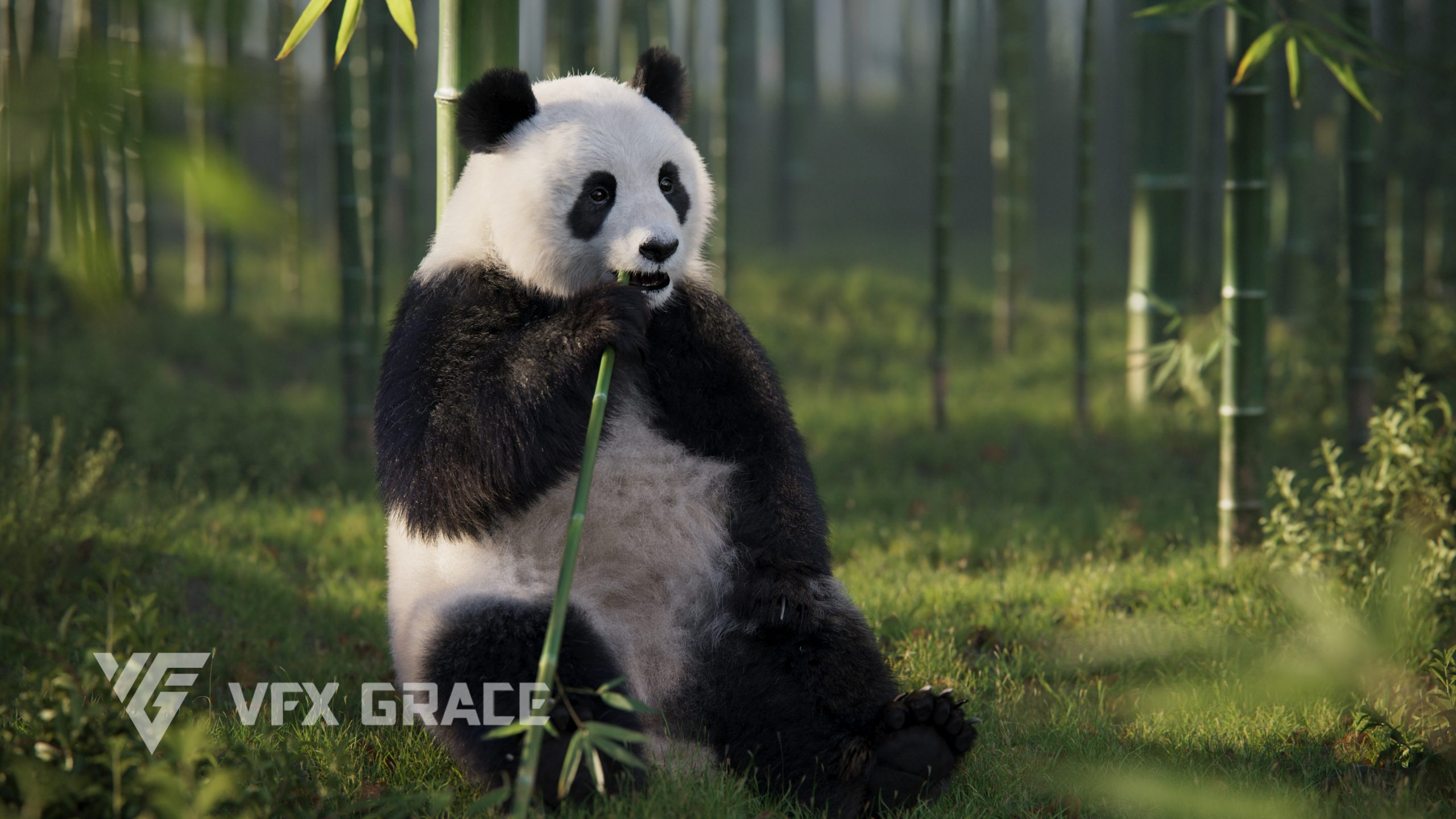 JF0N2N0K Panda Display Eat 02 scaled 1740171262