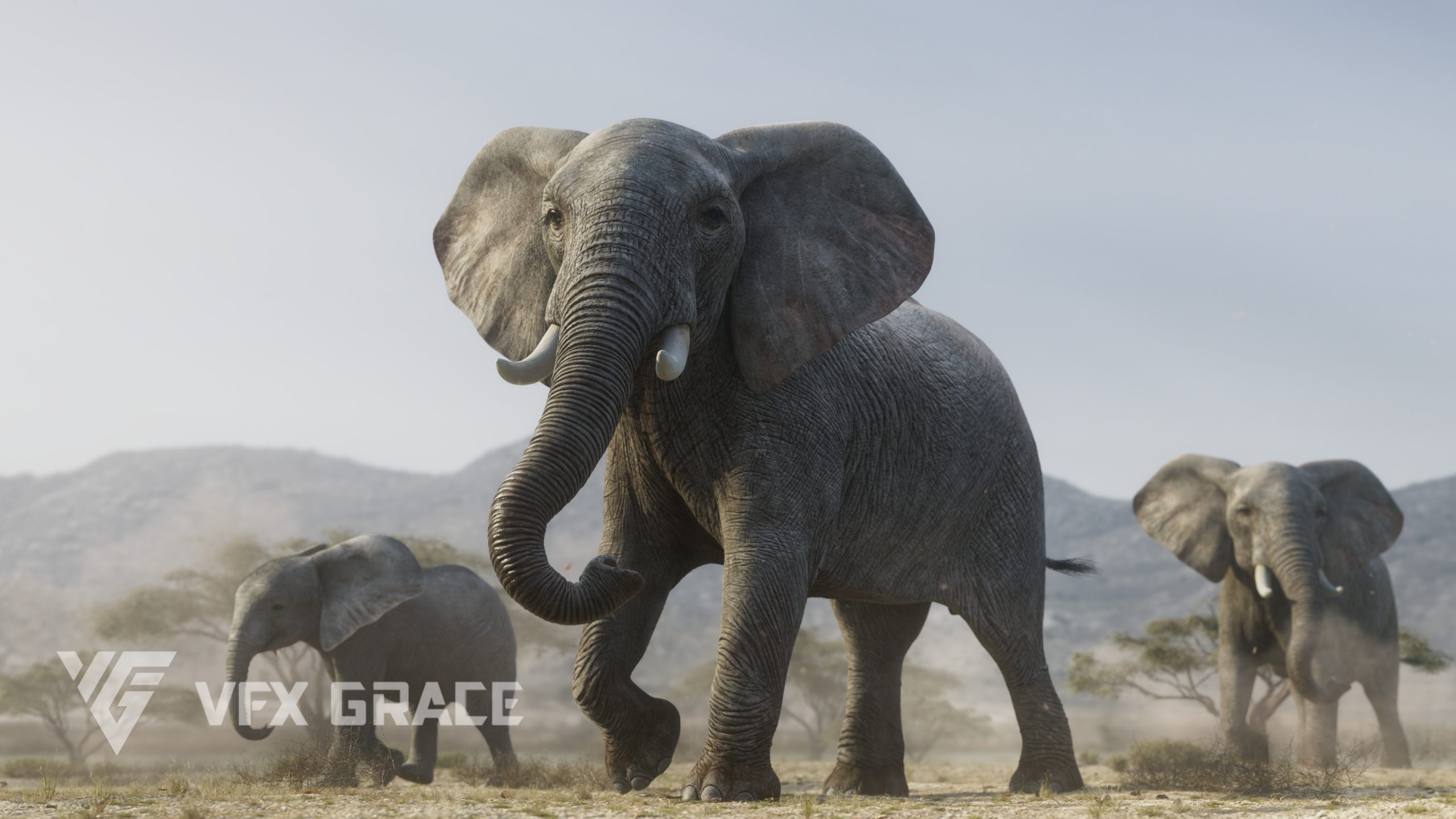 JW0K309A0 African Elephant Display 4K scaled 1740170902