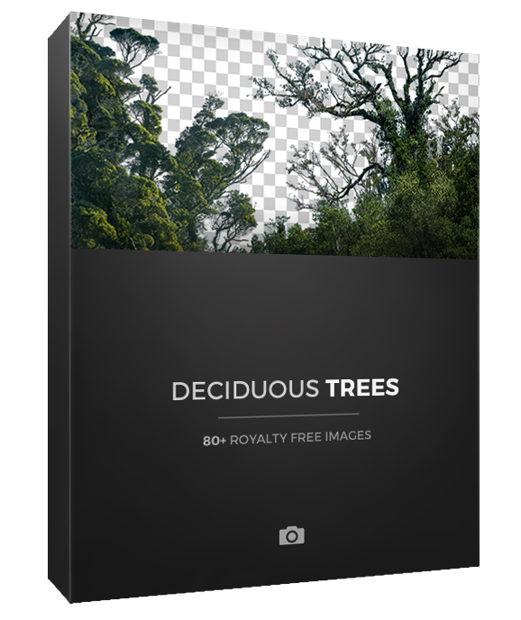 Photobash Deciduous Trees PNG