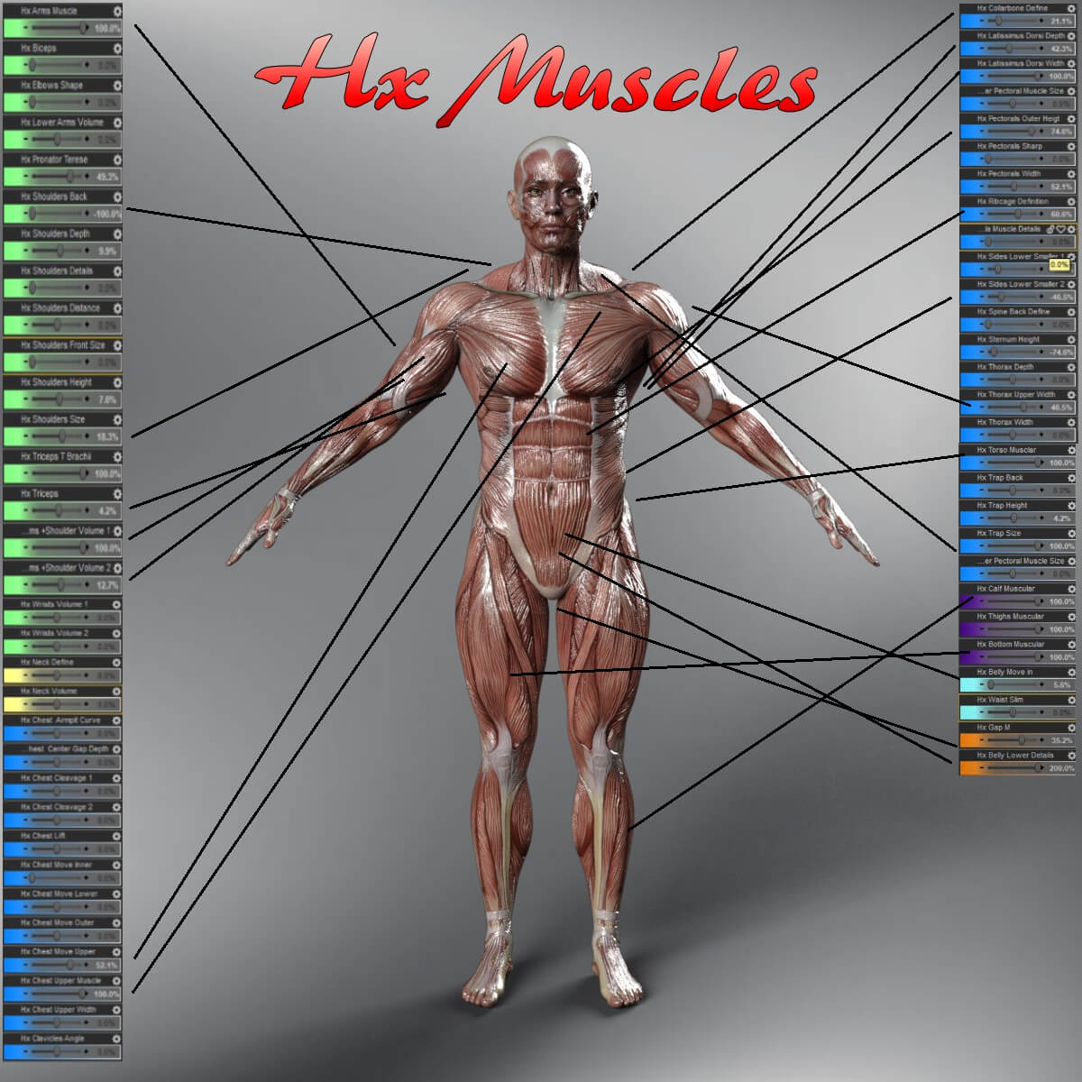 HX Muscle Morphs Merchant Resource for Genesis 9 1 https://new.imagehostx.com/upload/2025/03/22/hx-muscles-morphs-merchant-resource-for-genesis-9-01_1742652269.jpg