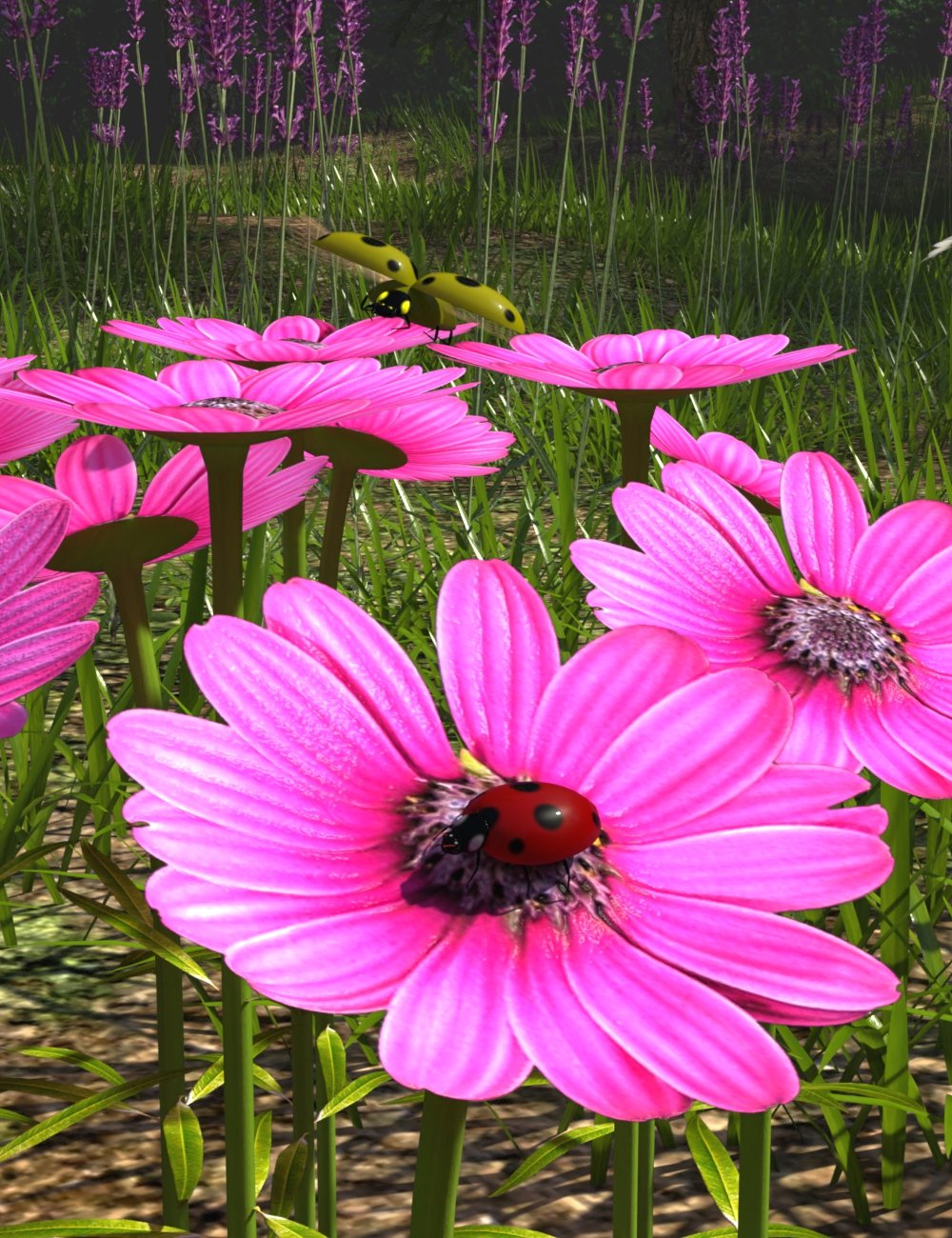 myladybird00maindaz3d 1744840137