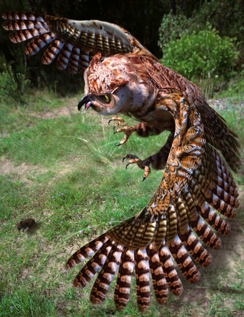 Great Horned Owl 1745215584