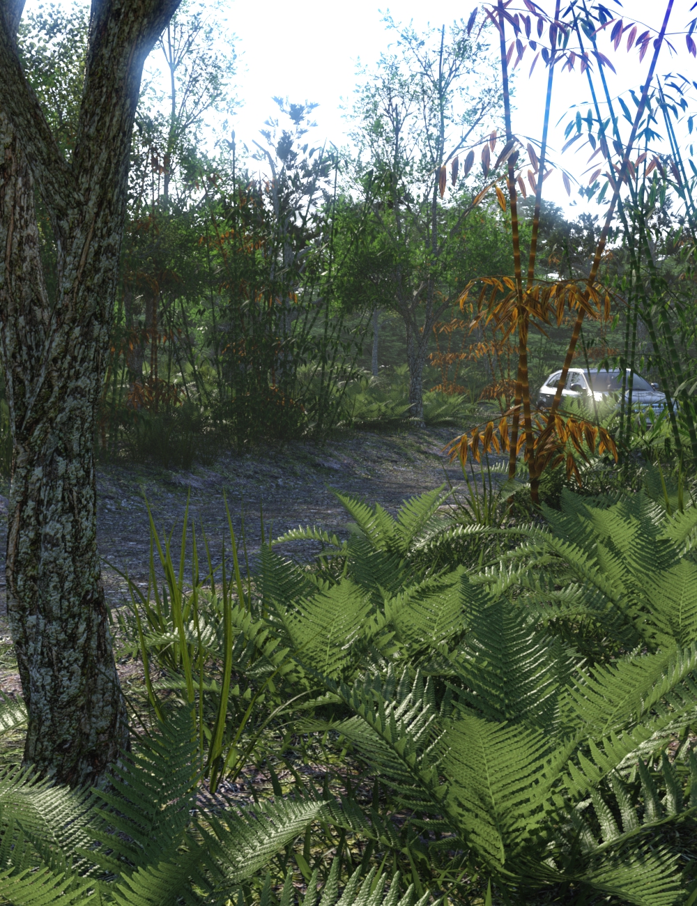 The Dirt Road