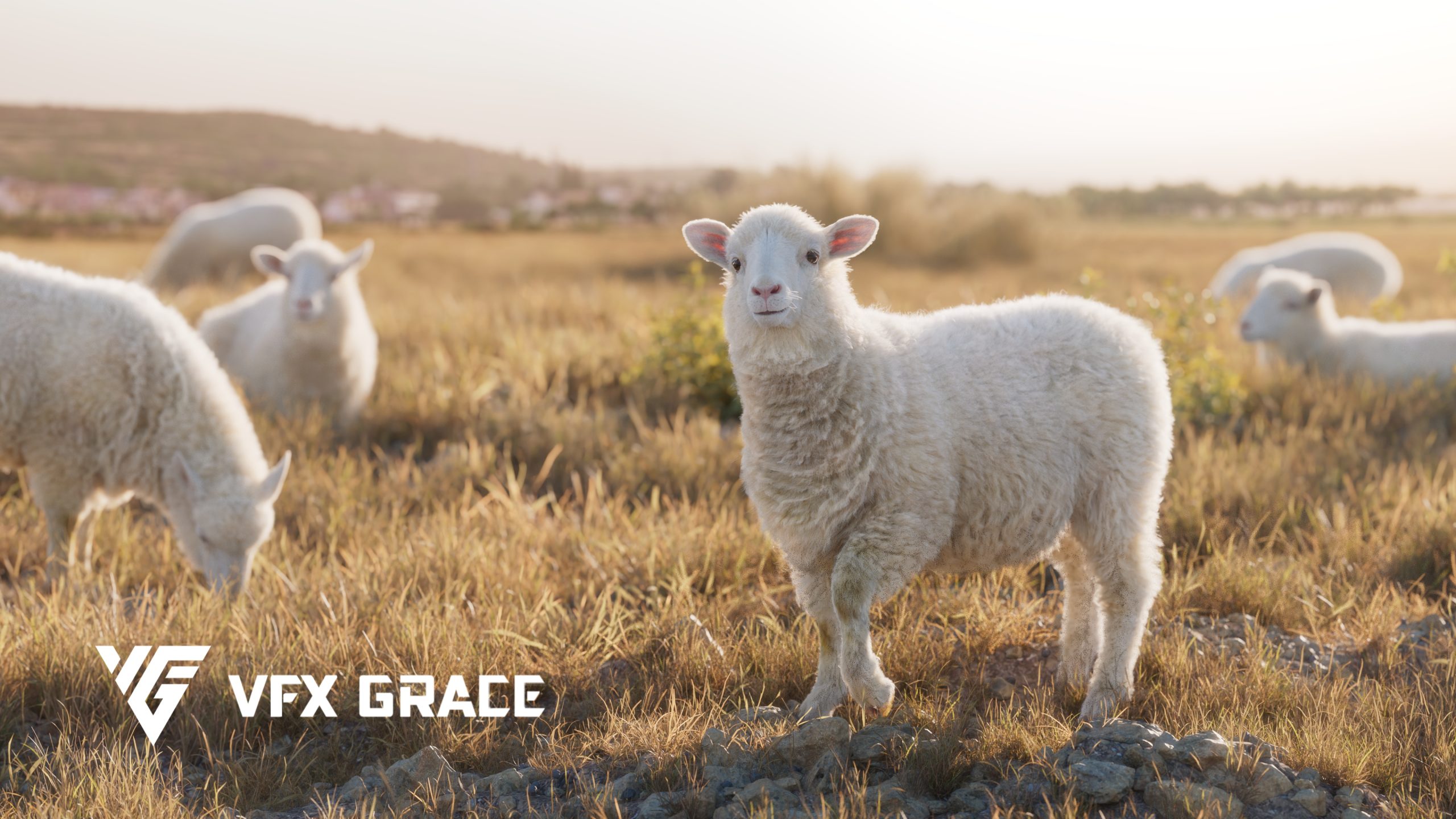 JF0L219A1 Lamb Display Walk 02 scaled 1746005897