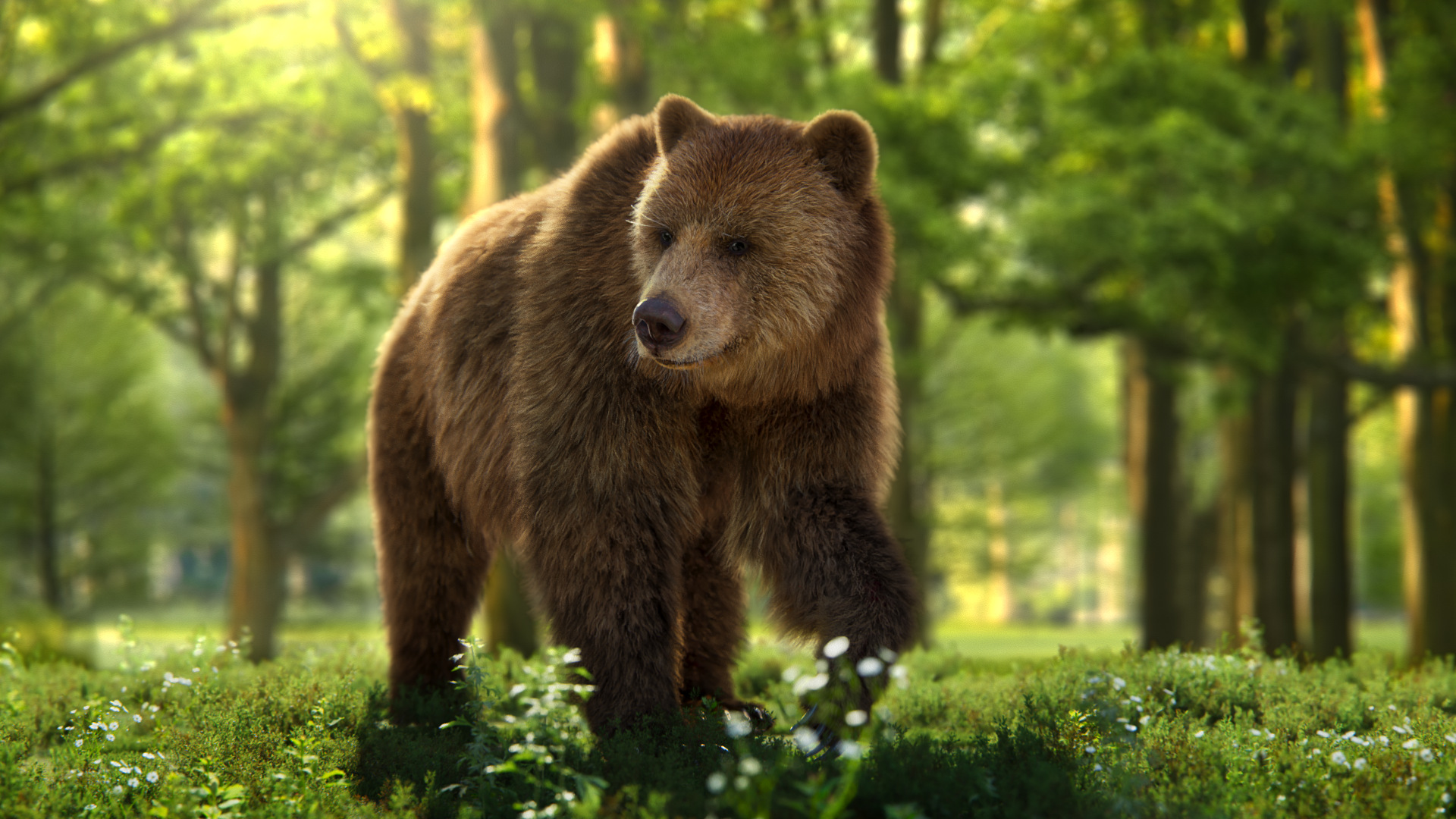 Female Brown Bear heng 1746354550