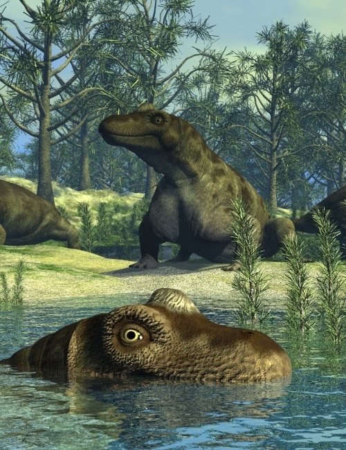 KeratocephalusDR 1746329862