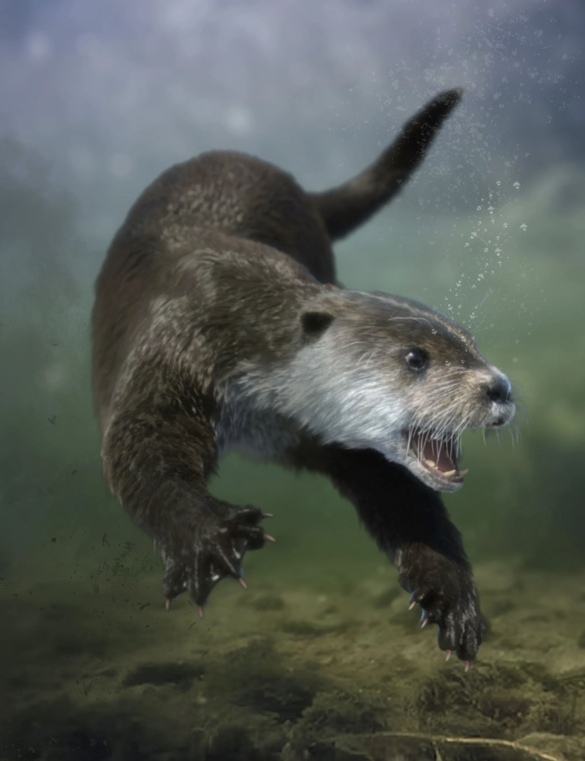 otterbyam00maindaz3d 1746336807