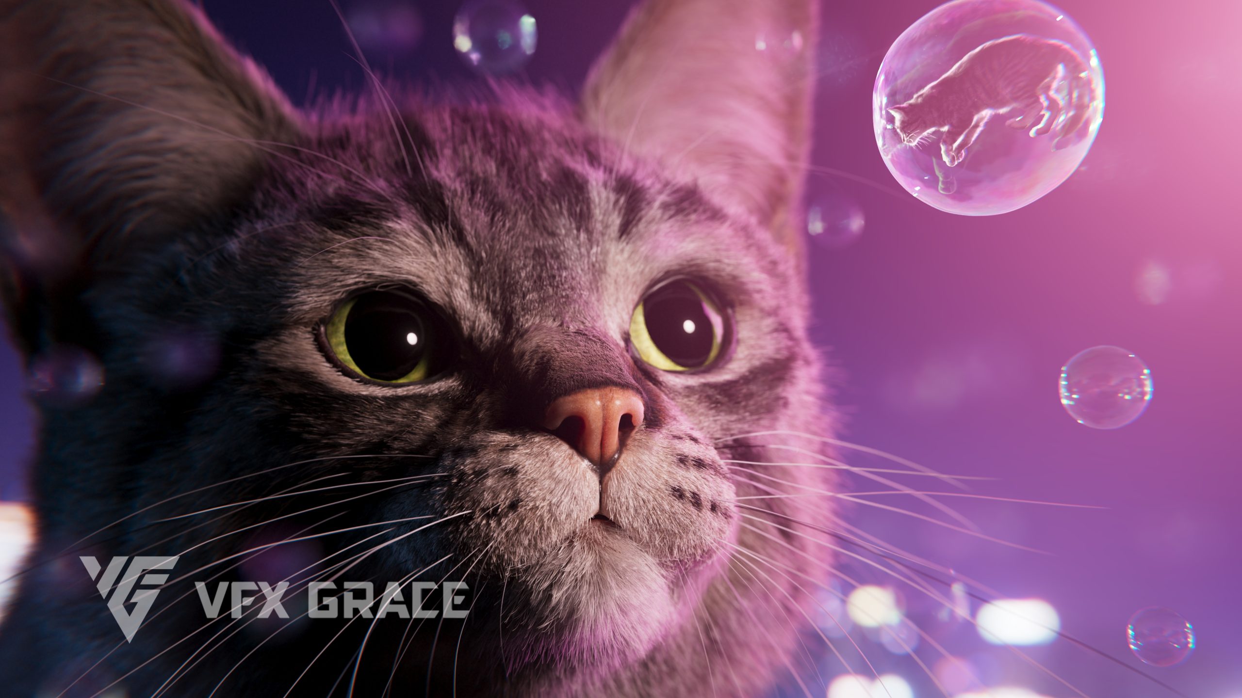 JC0L219A2 GreyTabbyCat Display Bubble 02 scaled 1746434699