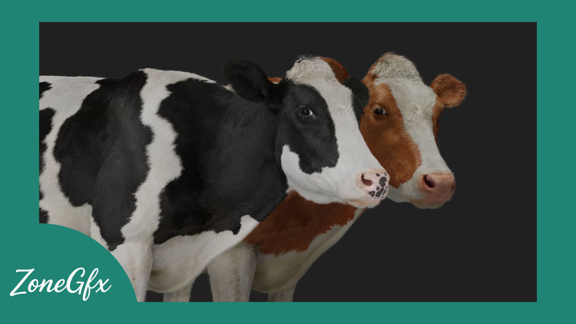 Holstein Female Animation | VFX Grace | superhive market 1 https://new.imagehostx.com/upload/2025/05/07/cows_1746613747.png