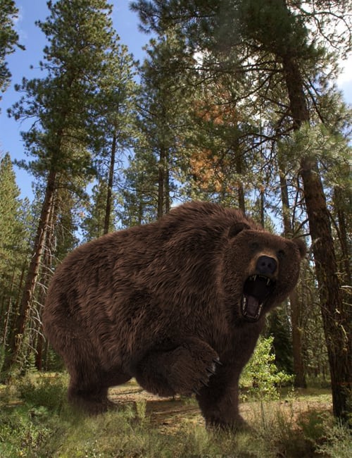ursus arctos large 1746975404