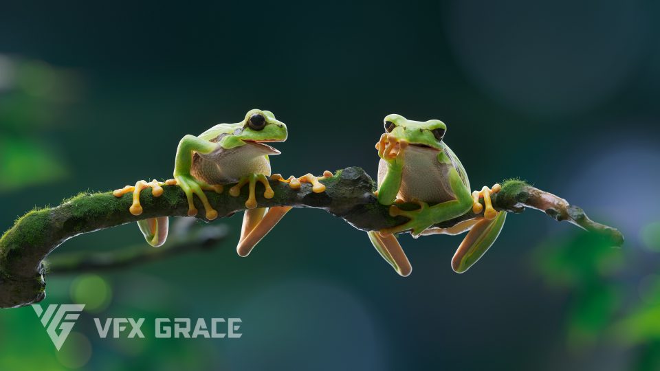 JU0L408A1 TreeFrog Display 02 960x540 1734944109 1747076559