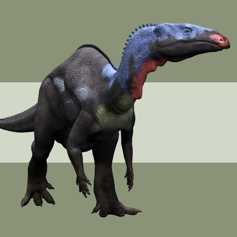 CamptosaurusDR 1747397672