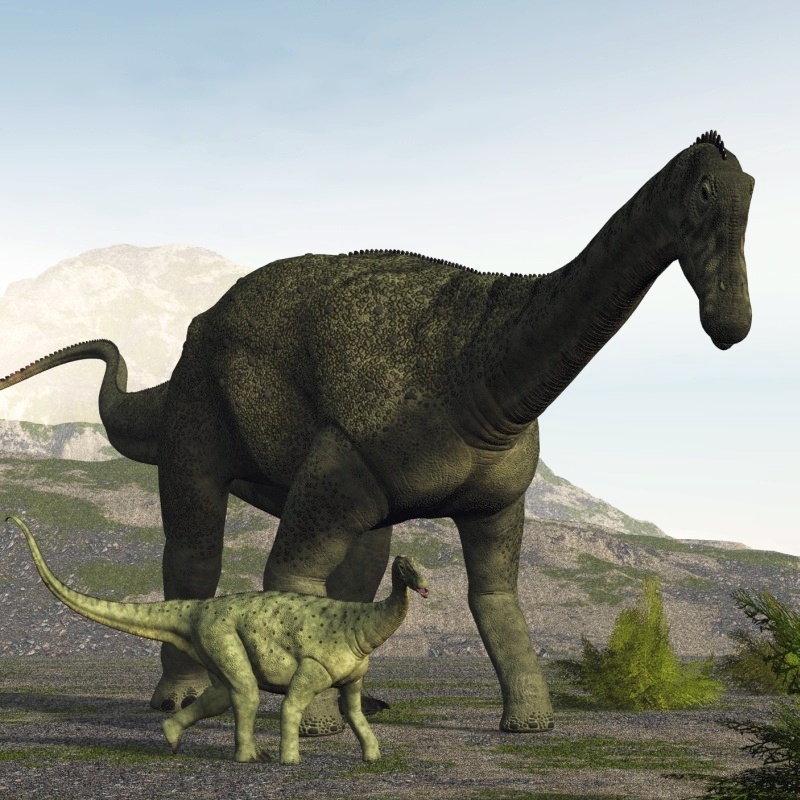 SaltasaurusDR 1747393530