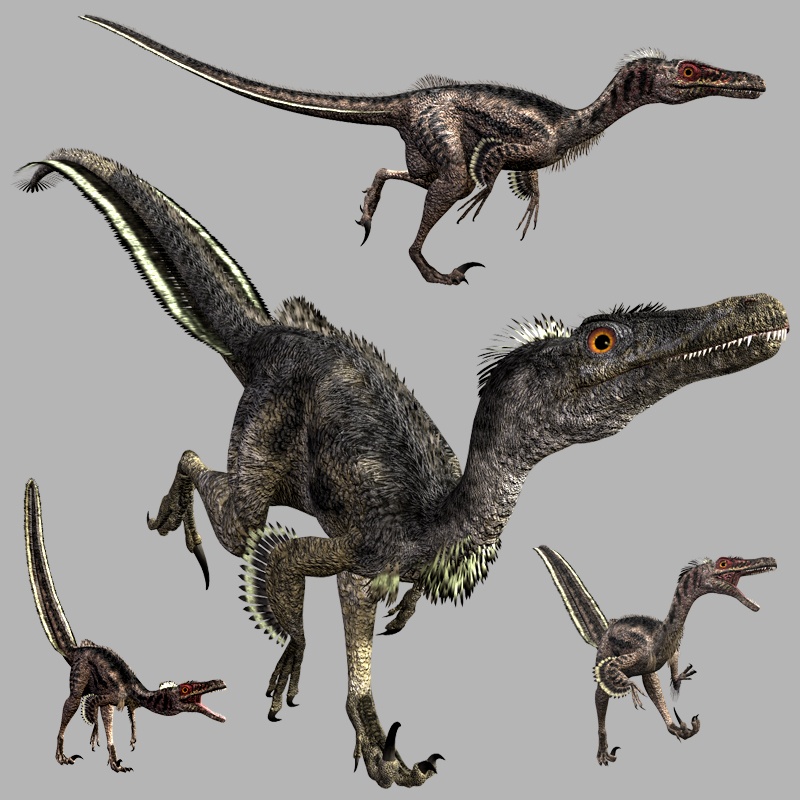 VelociraptorDR 1747399570