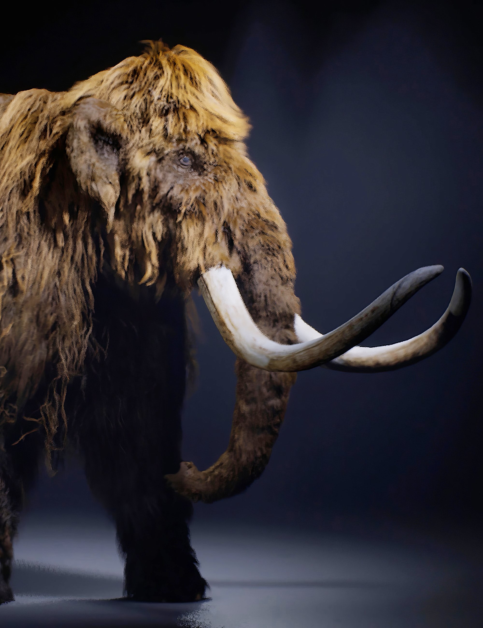 mammoth2byam00maindaz3d 1748337896