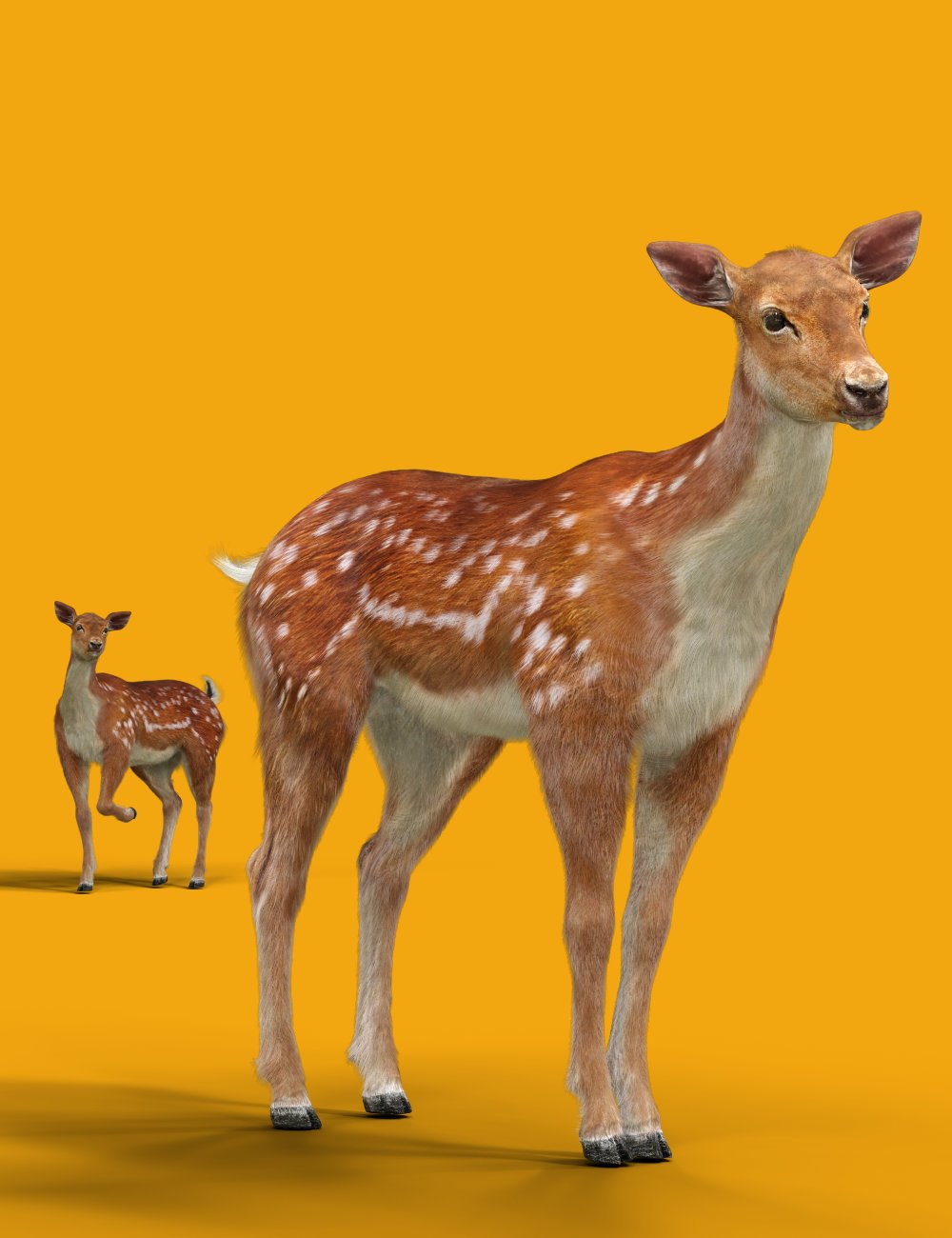 deerfordazhorse300maindaz3d 1748504875