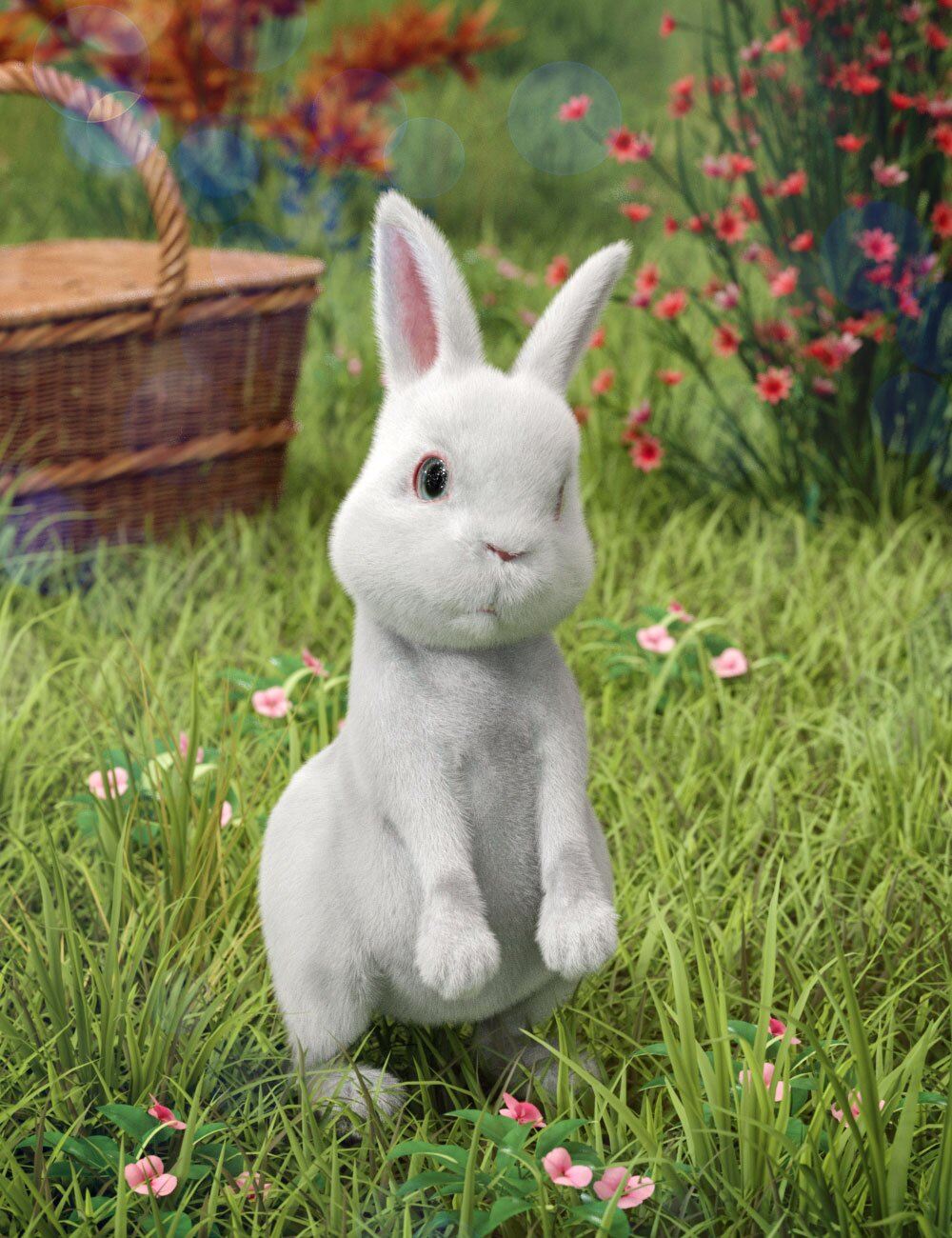 Pufflet The Bunny 1748594527