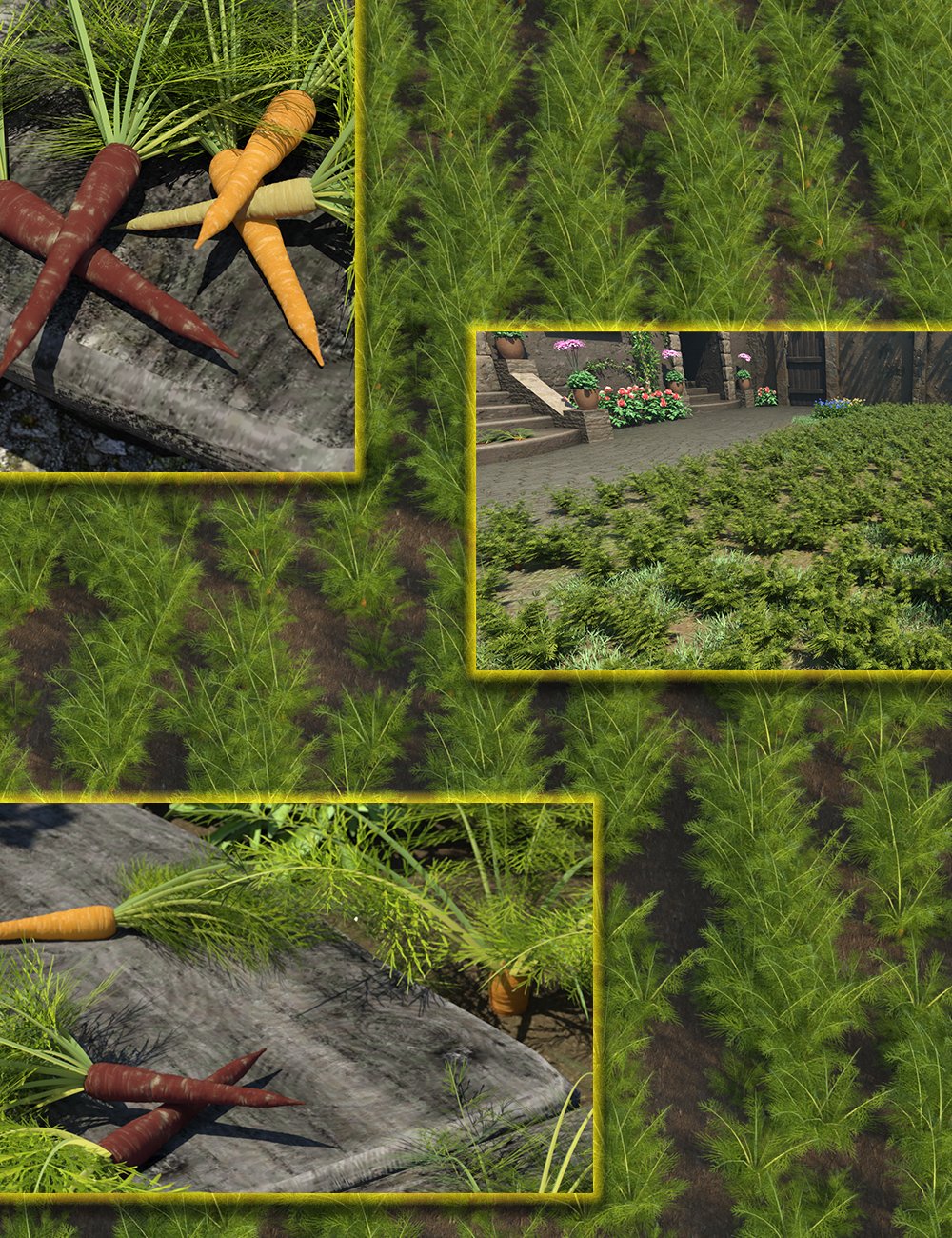 vegpatchcarrots00maindaz3d 1749066450