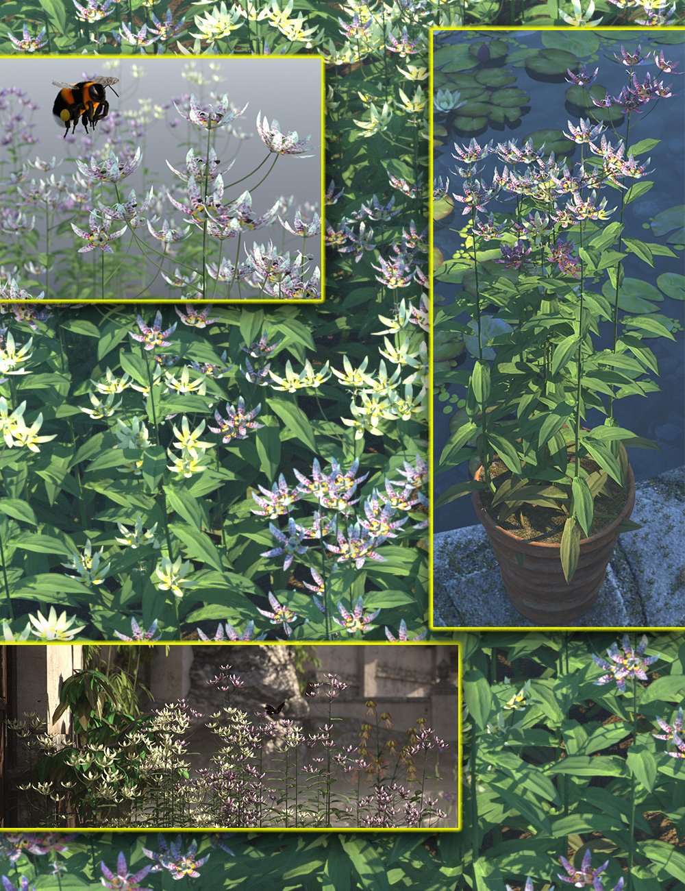 cottagegardenflowerstoadlily00maindaz3d 1750794252