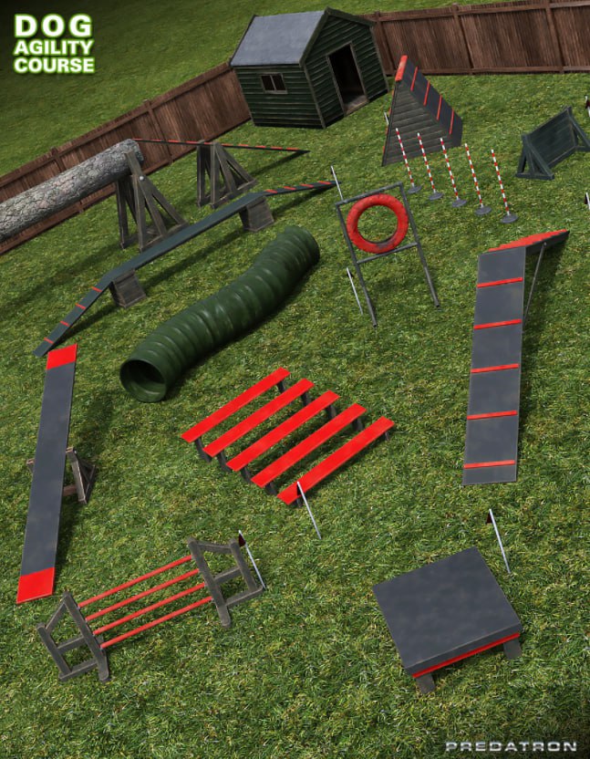 Dog Agility Course 1751289193