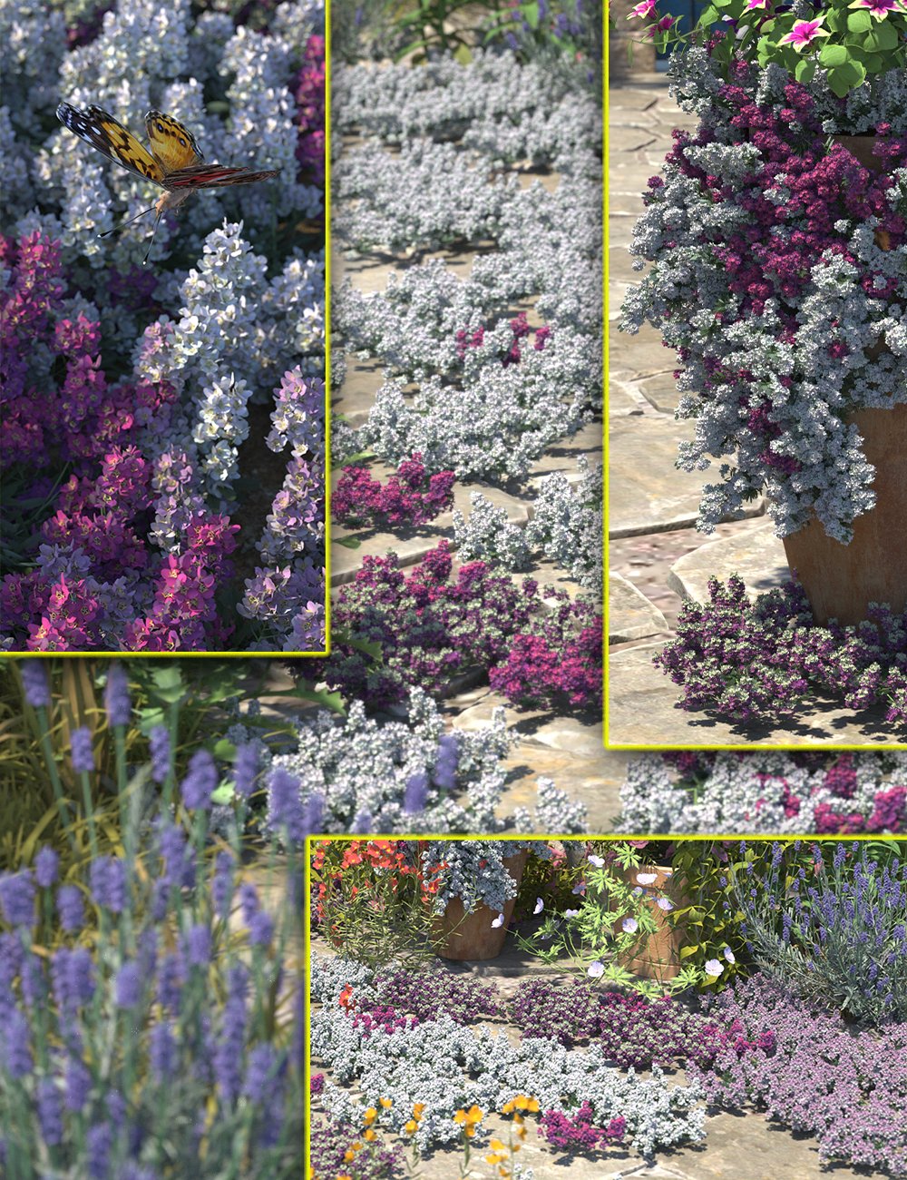 cottagegardenflowersalyssum00maindaz3d 1752094419