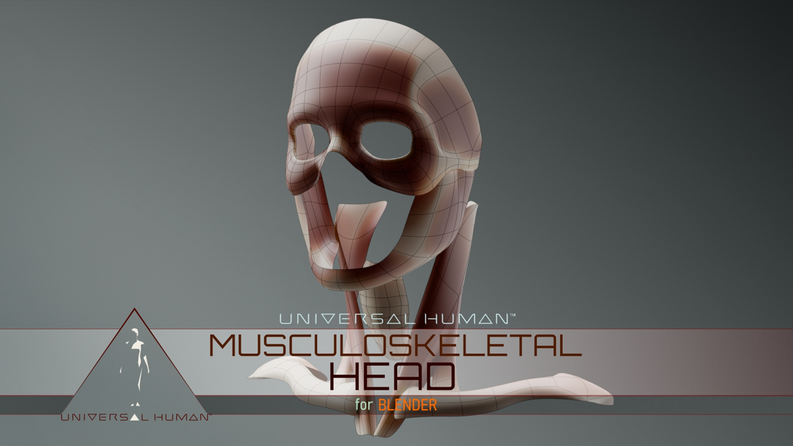 Universal Human Musculoskeletal Head 1 https://new.imagehostx.com/upload/2025/07/11/Captura-de-pantalla-2025-07-11-193157_1752273529.png