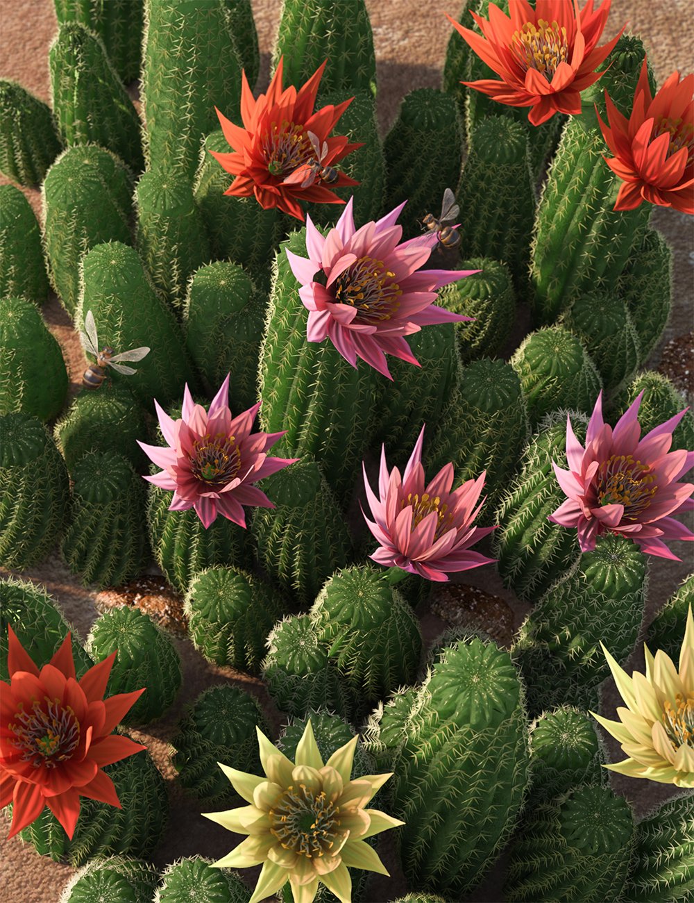 peanutcactusfloweringcacti00maindaz3d 1753021978