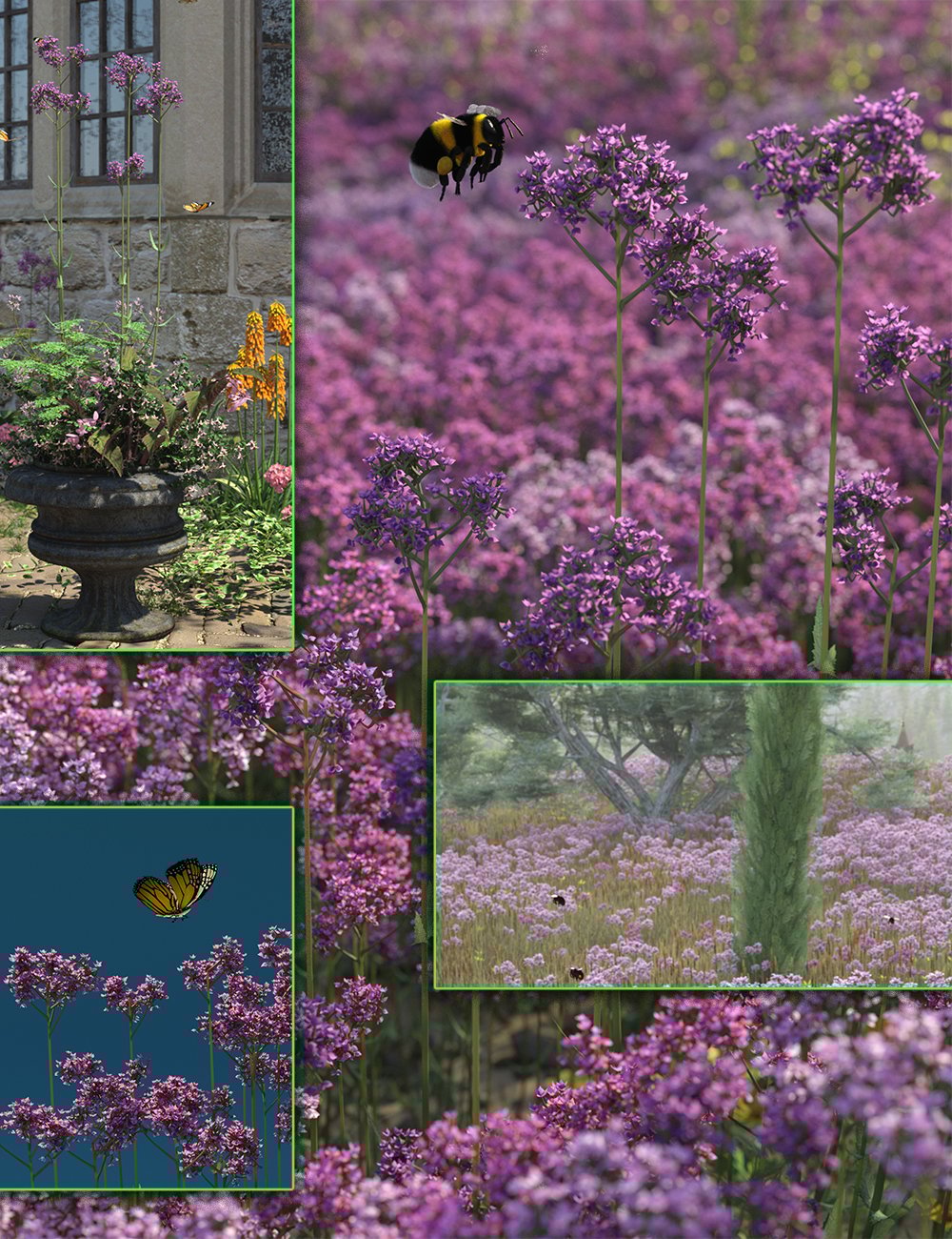 verbenabonariensisgardenandgrasslandflowers00maindaz3d 1753025456