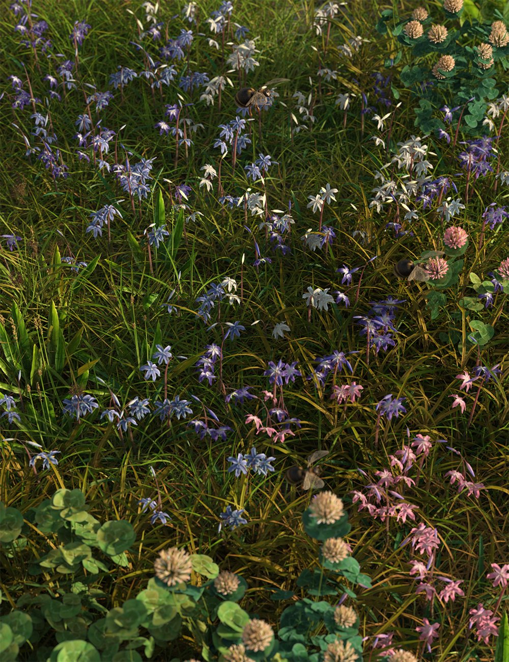 springflowersscillasibericasquills00maindaz3d 1753784658