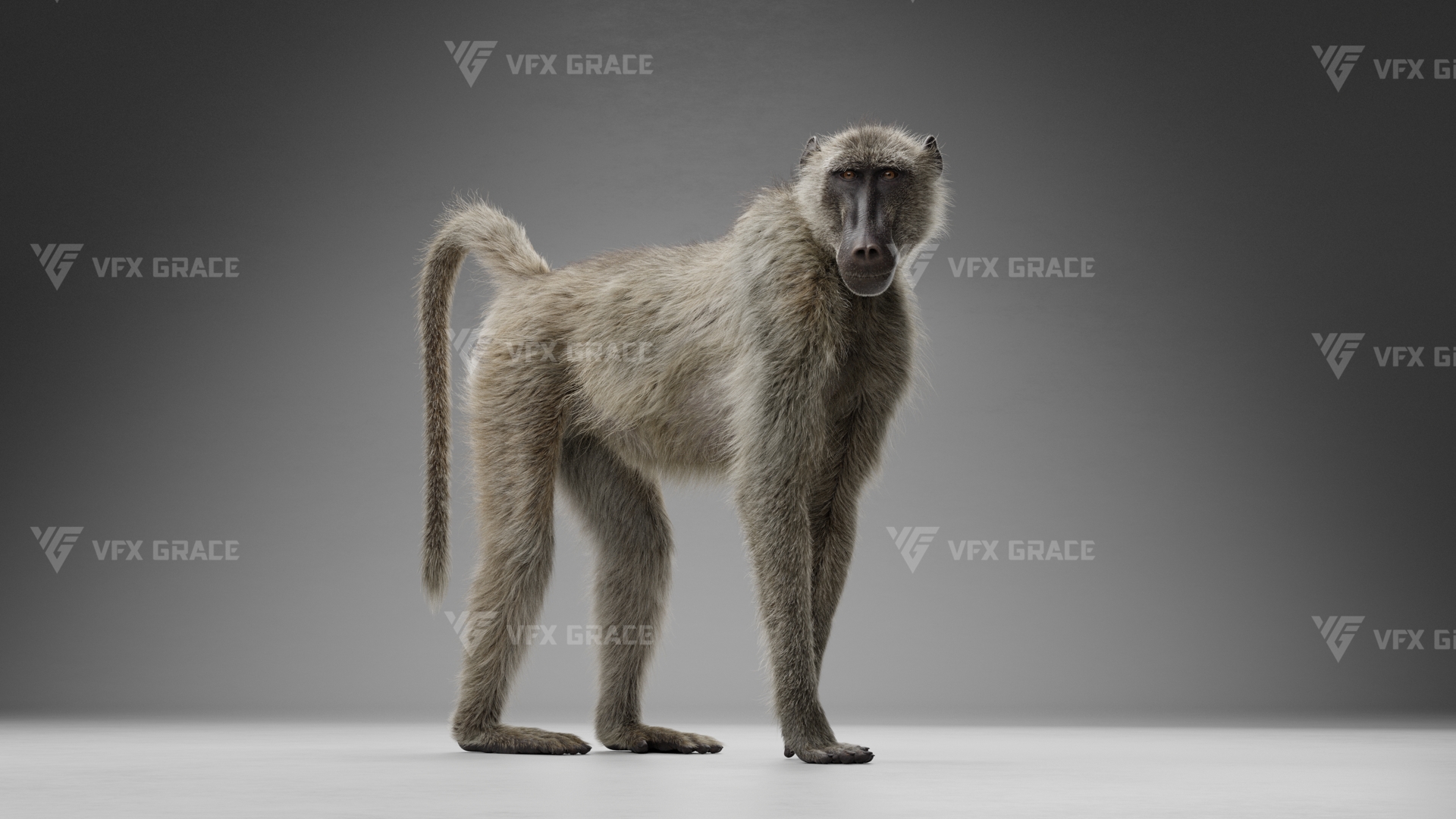 JW0N9Z0D Baboon Effect map02 1753873683