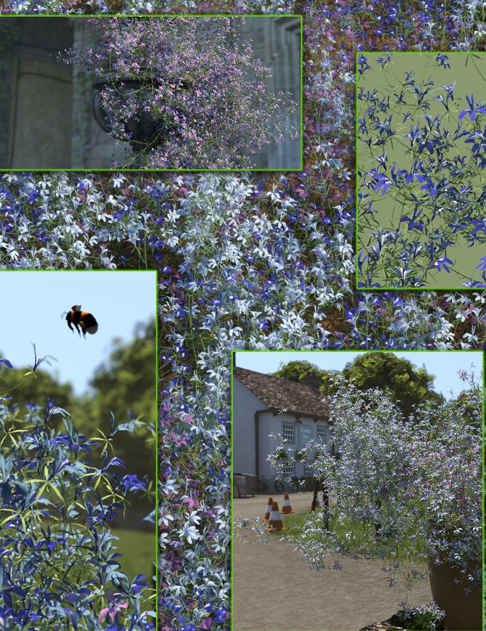 cottagegardenflowerstrailinglobelia00maindaz3d 1754350273