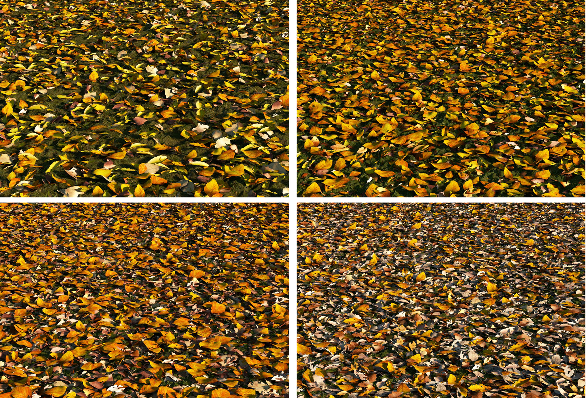Untitled 1 1755091982