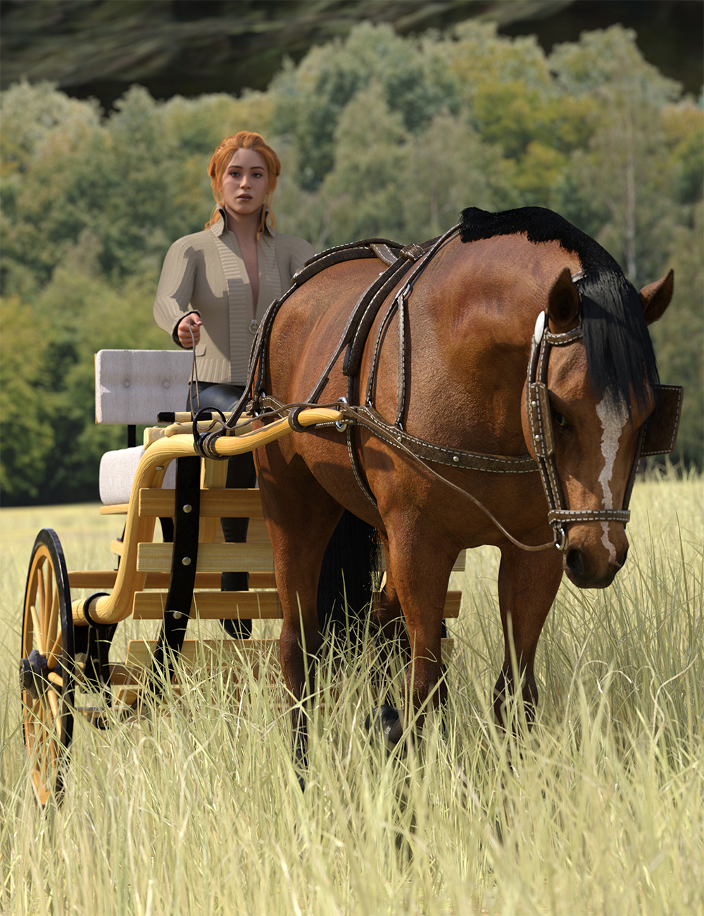 Horse And Buggy Accessoriesnull